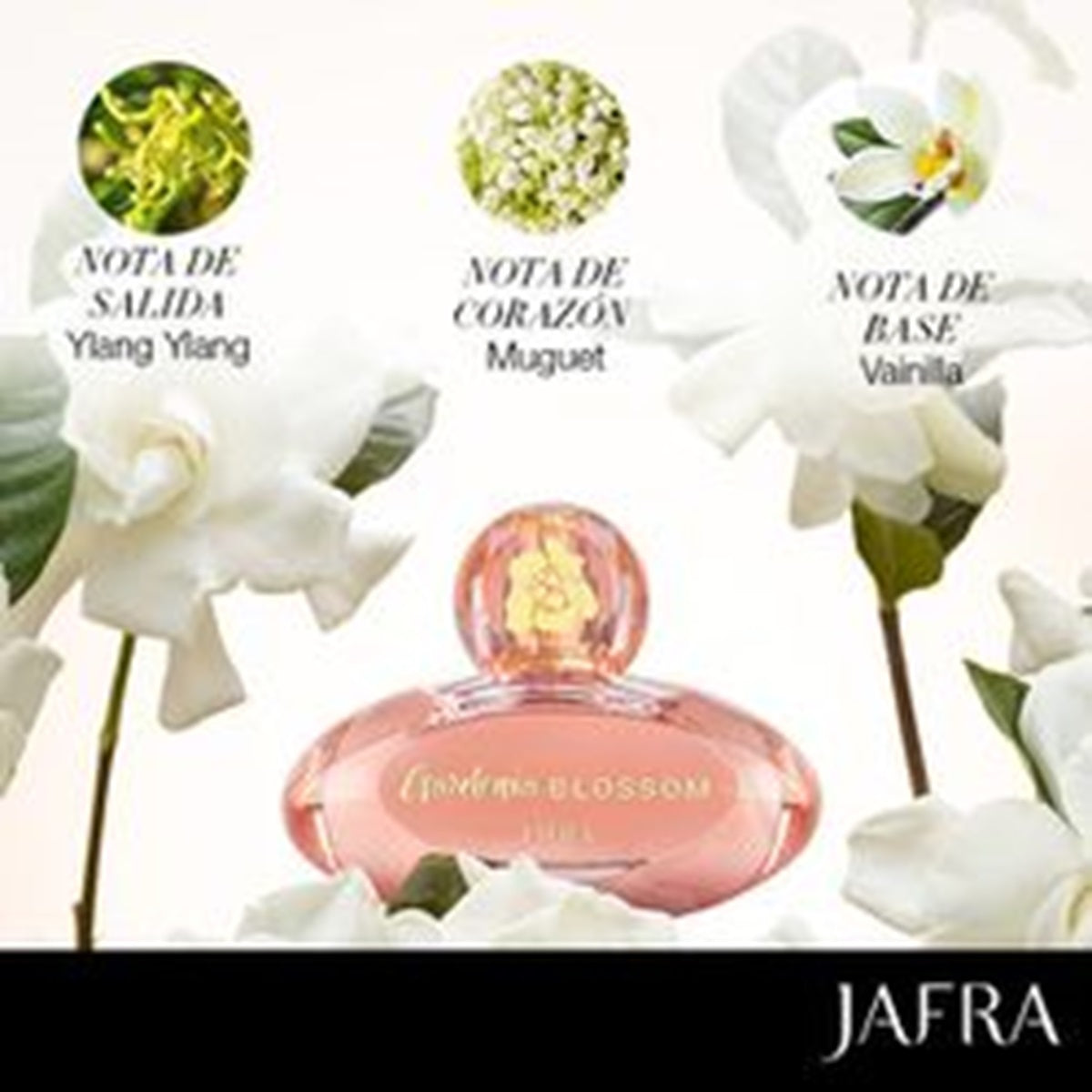 Pink perfume bottle with floral elements and JAFRA branding