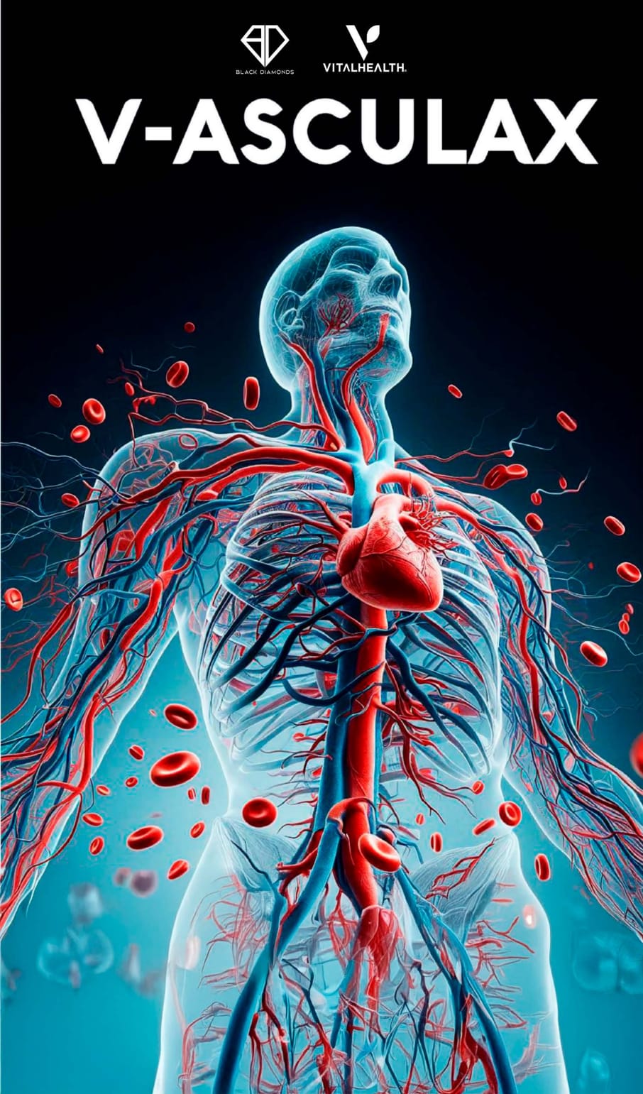 VitalHealth V-Asculax advertisement with a human vascular system illustration.